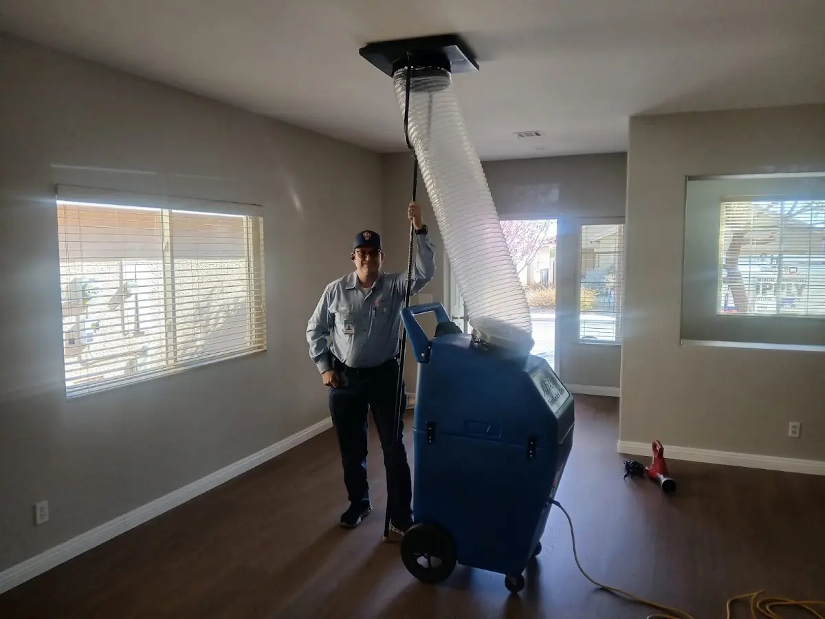Professional Dryer Vent Cleaning work inside a Massanetta Springs home